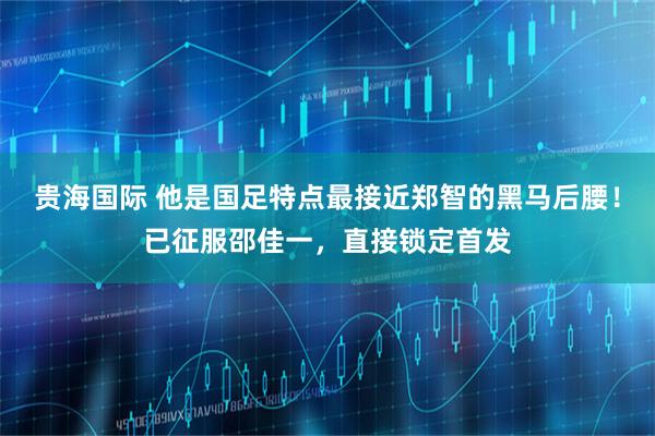 贵海国际 他是国足特点最接近郑智的黑马后腰！已征服邵佳一，直接锁定首发