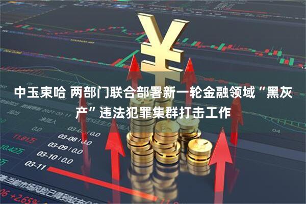 中玉束哈 两部门联合部署新一轮金融领域“黑灰产”违法犯罪集群打击工作