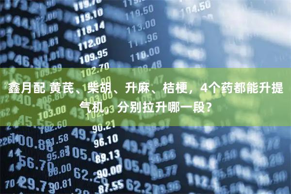 鑫月配 黄芪、柴胡、升麻、桔梗，4个药都能升提气机，分别拉升哪一段？