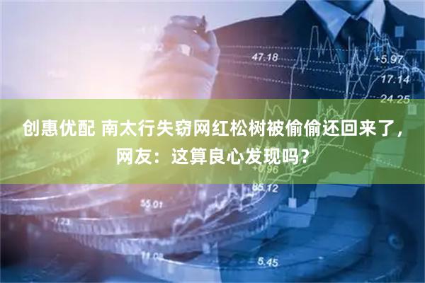 创惠优配 南太行失窃网红松树被偷偷还回来了，网友：这算良心发现吗？