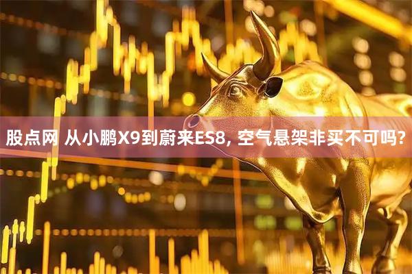 股点网 从小鹏X9到蔚来ES8, 空气悬架非买不可吗?