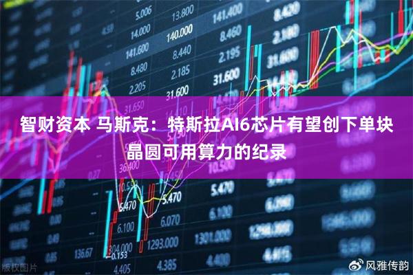 智财资本 马斯克：特斯拉AI6芯片有望创下单块晶圆可用算力的纪录