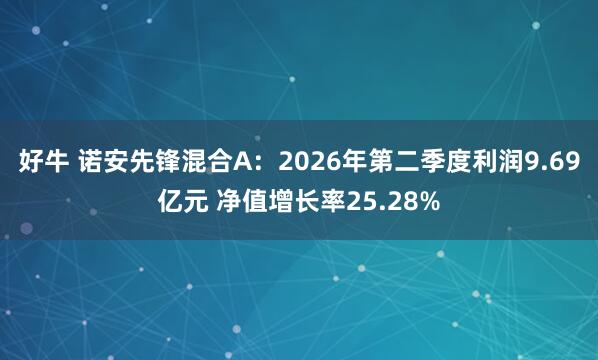 好牛 诺安先锋混合A：2026年第二季度利润9.69亿元 净值增长率25.28%