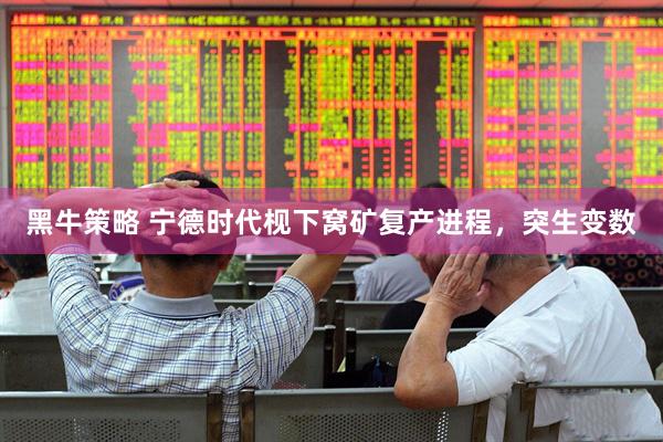 黑牛策略 宁德时代枧下窝矿复产进程，突生变数